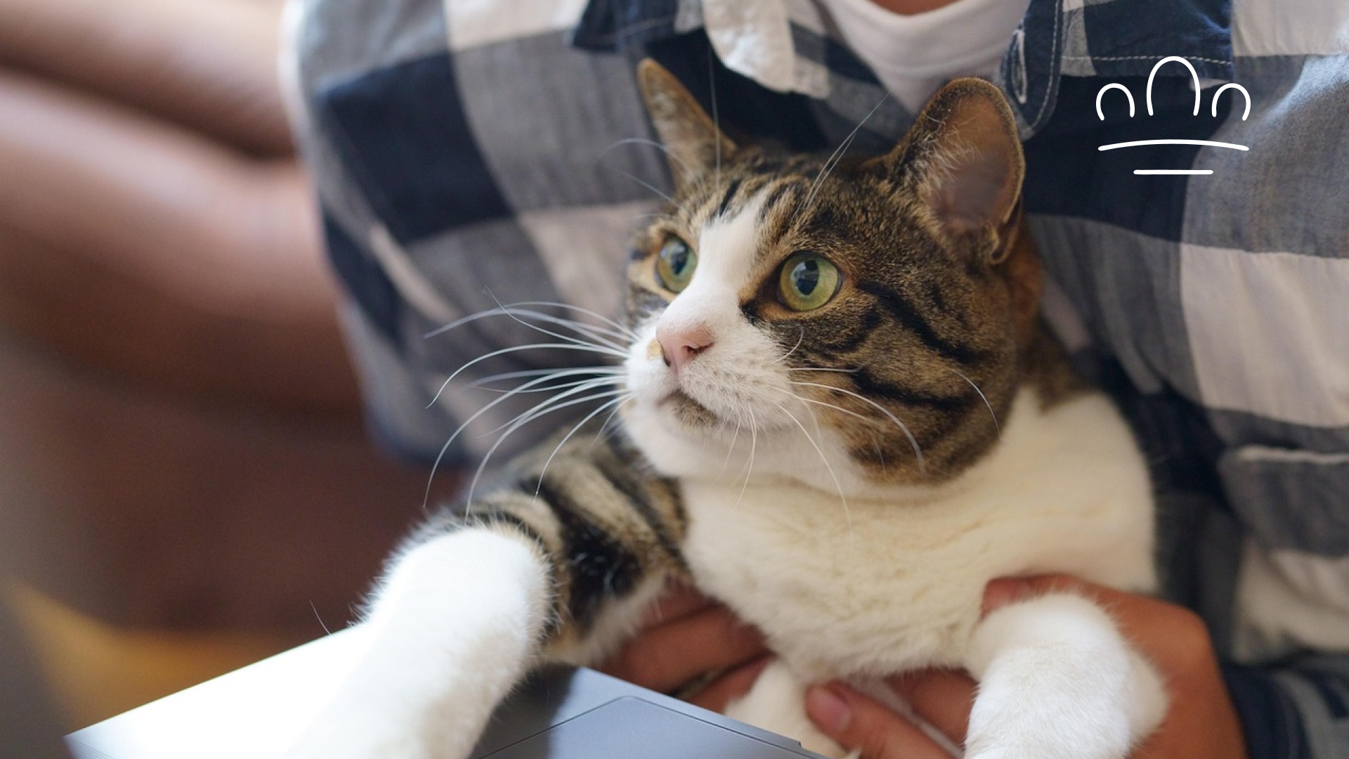 pet horoscope (5)