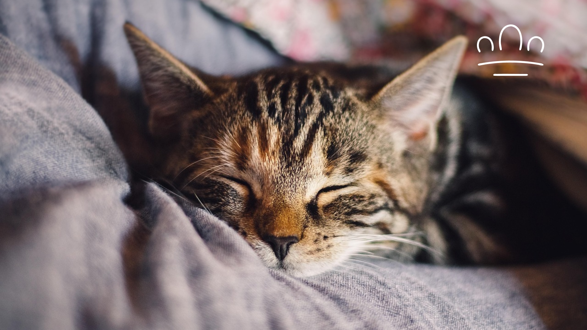 pet horoscope (10)